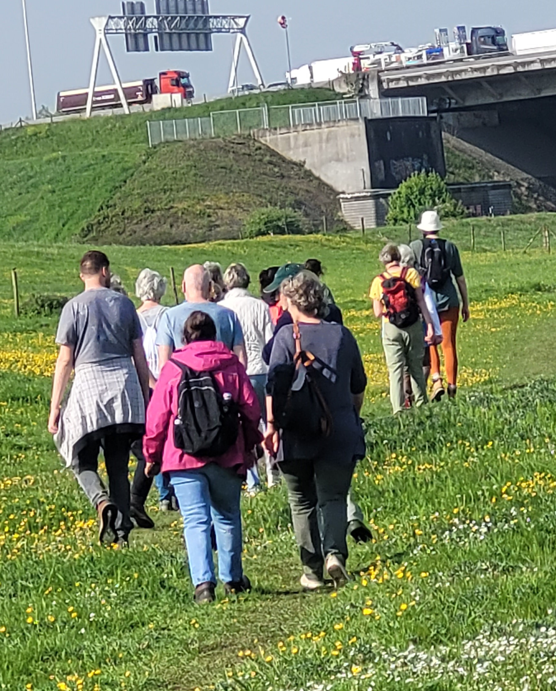 Een groep mensen wandelt over een grasveld met bloemetjes, nabij een snelwegviaduct met verkeer.