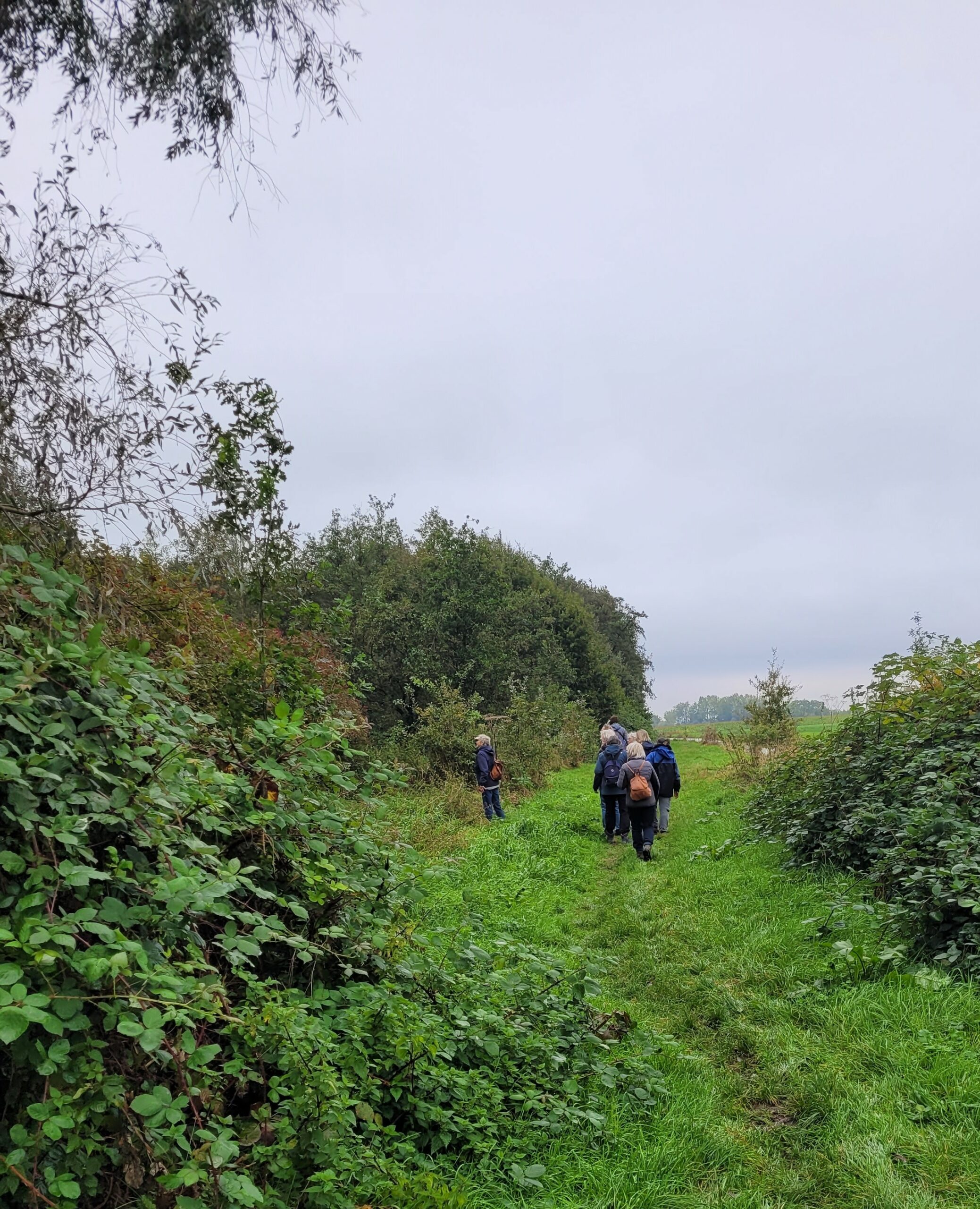 Mensen wandelen op een groen, smal pad tussen dichte struiken op een bewolkte dag.
