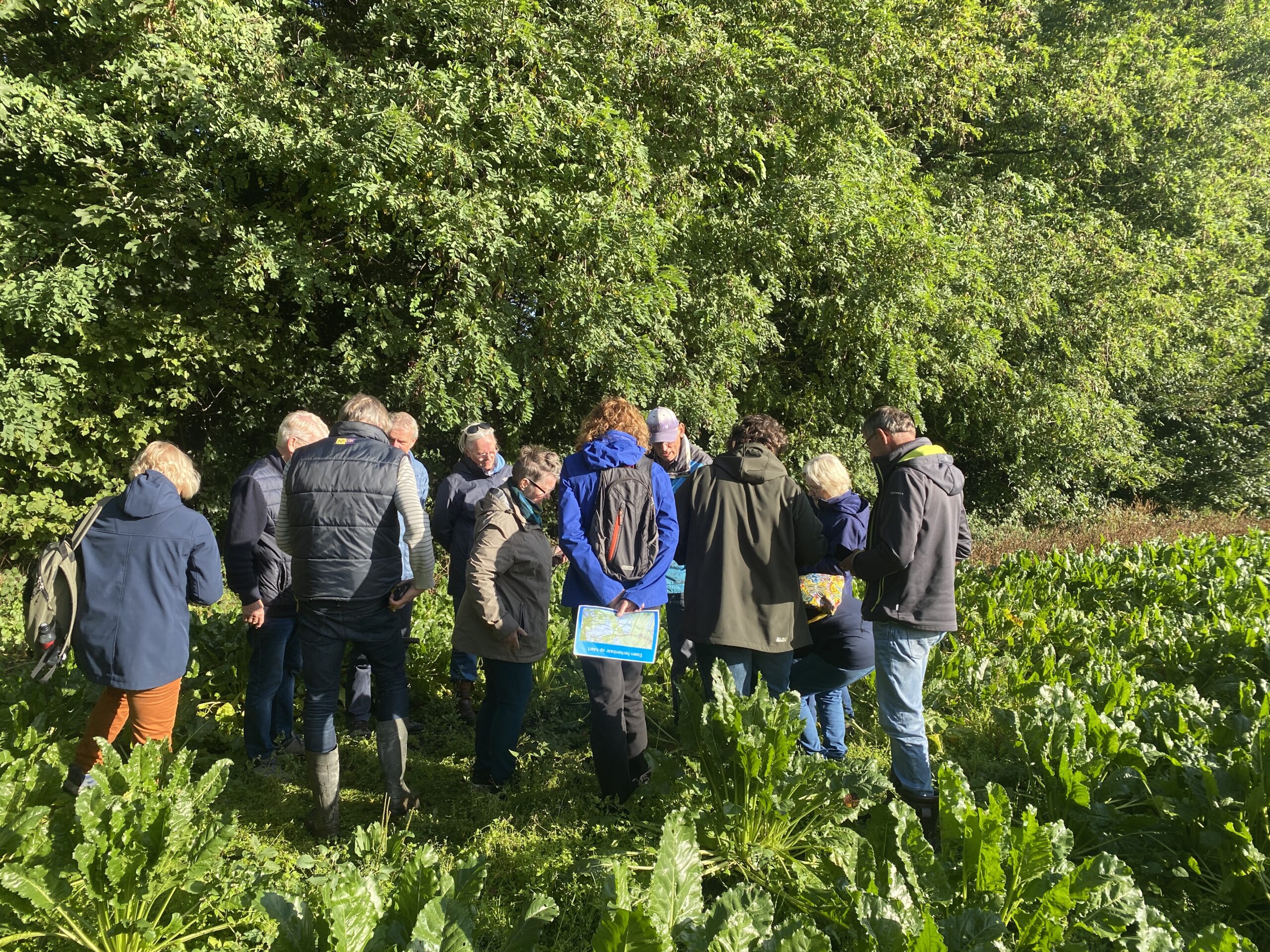 Groep mensen onderzoekt een veld omgeven door groene bomen.