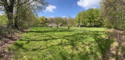 Groene weide omgeven door bomen met enkele huizen op de achtergrond onder een blauwe hemel.
