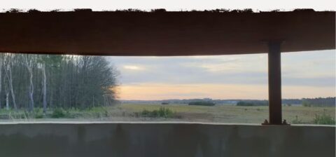 Uitzicht door schuilplaats: weide met bomenrand in ochtendlicht.