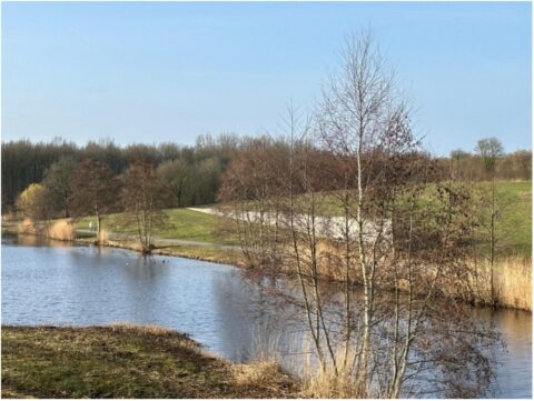 Natuurgebied met rivier, kale bomen, grasland en blauwe lucht. ಕ्रीಧlanden in de verte.