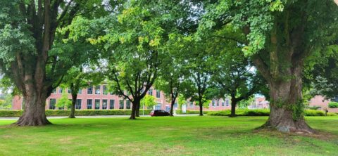 Groen park met grote bomen voor een bakstenen gebouw; rode auto links geparkeerd.