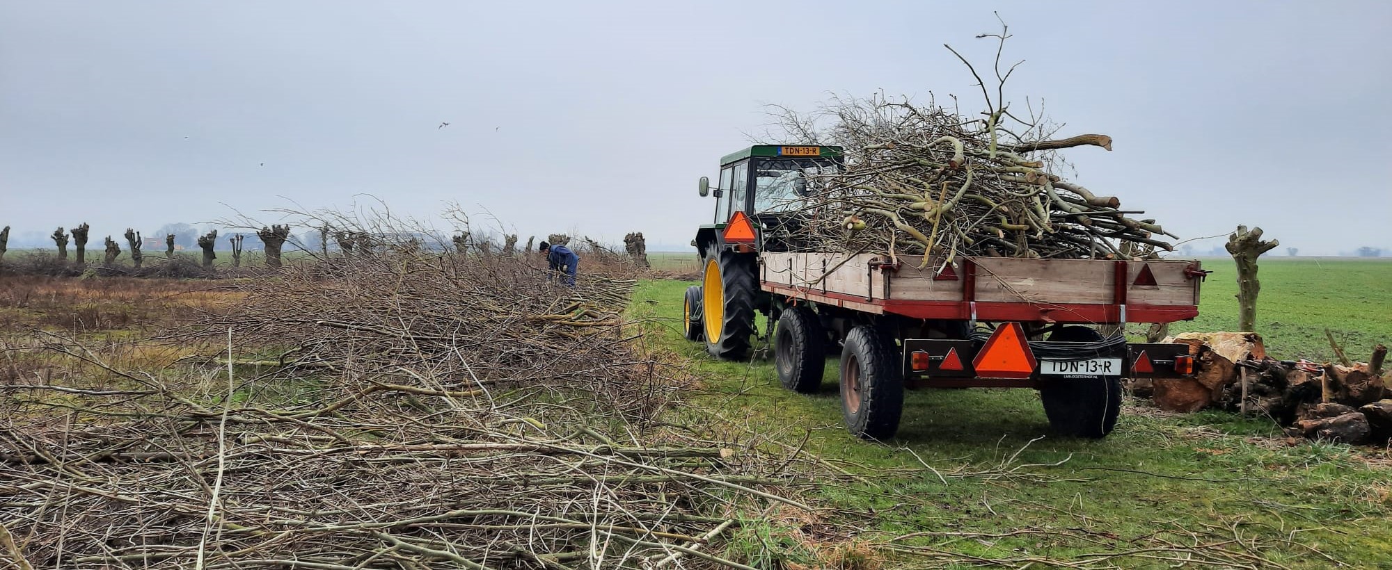 Tractor met takken op aanhanger op een veld; gesnoeide bomen op de achtergrond.