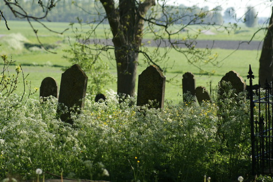 Oud kerkhof met grafstenen en wilde bloemen in groene, landelijke omgeving.