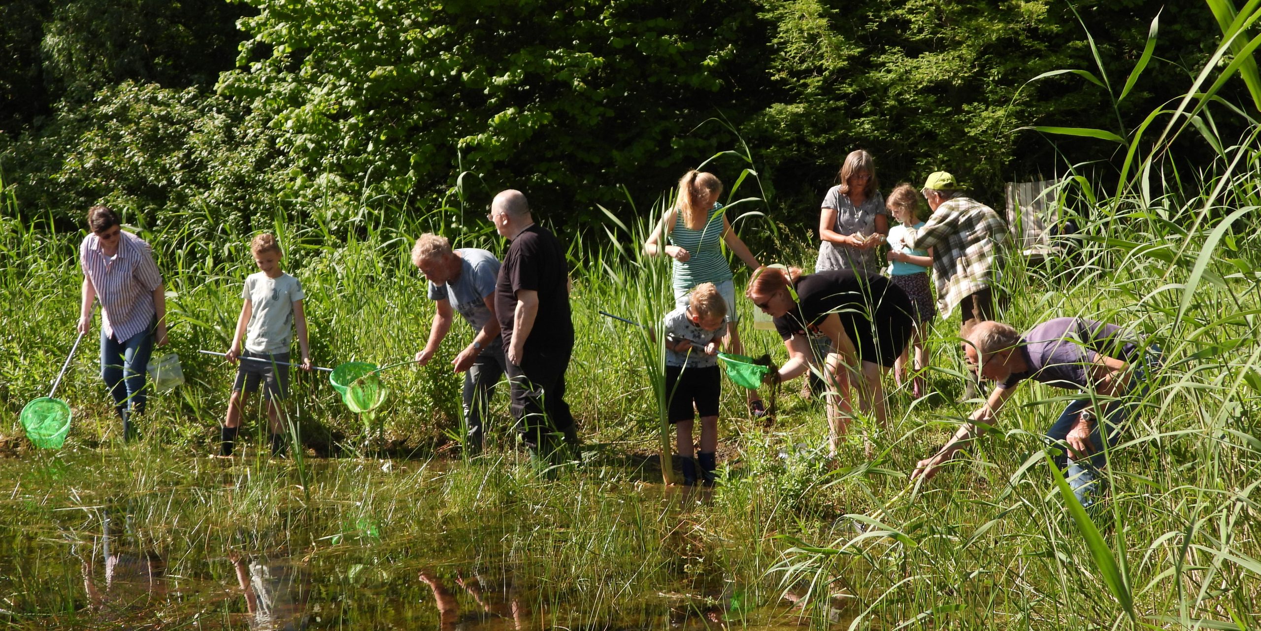 Groep mensen met schepnetten verkent oever van vijver, omringd door gras en groen.
