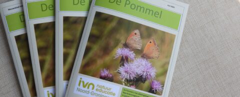 Drie exemplaren van het tijdschrift "De Pommel" met vlinders op bloemen op de cover.