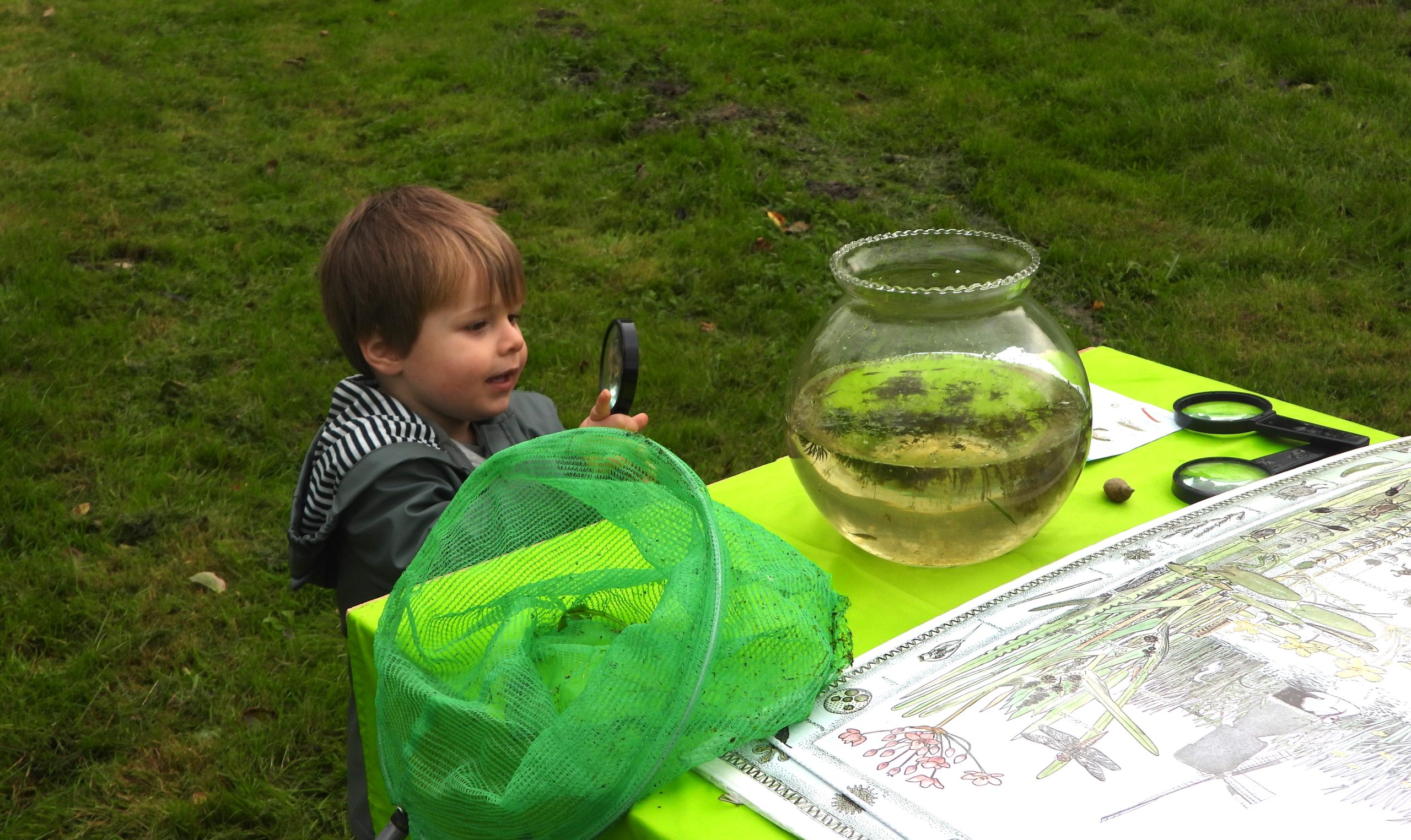 Jongen onderzoekt waterkom met loep op groene tafel, naast schepnet en natuurillustratie.