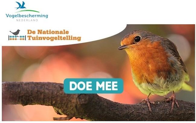 Roodborstje op tak met tekst "Doe mee" voor de Nationale Tuinvogeltelling van Vogelbescherming.