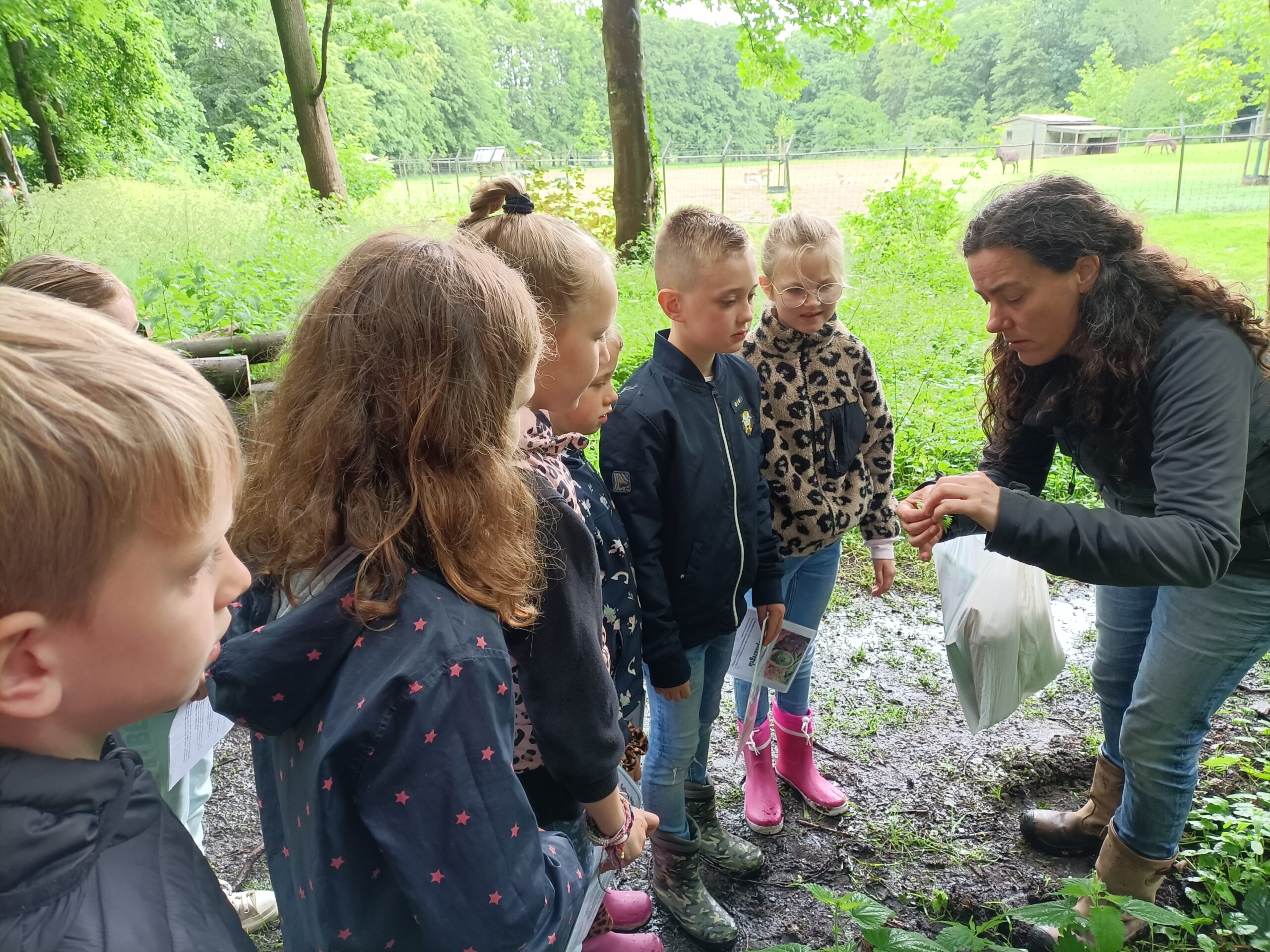 Een vrouw toont kinderen buiten iets van dichtbij in een groene, bosrijke omgeving.