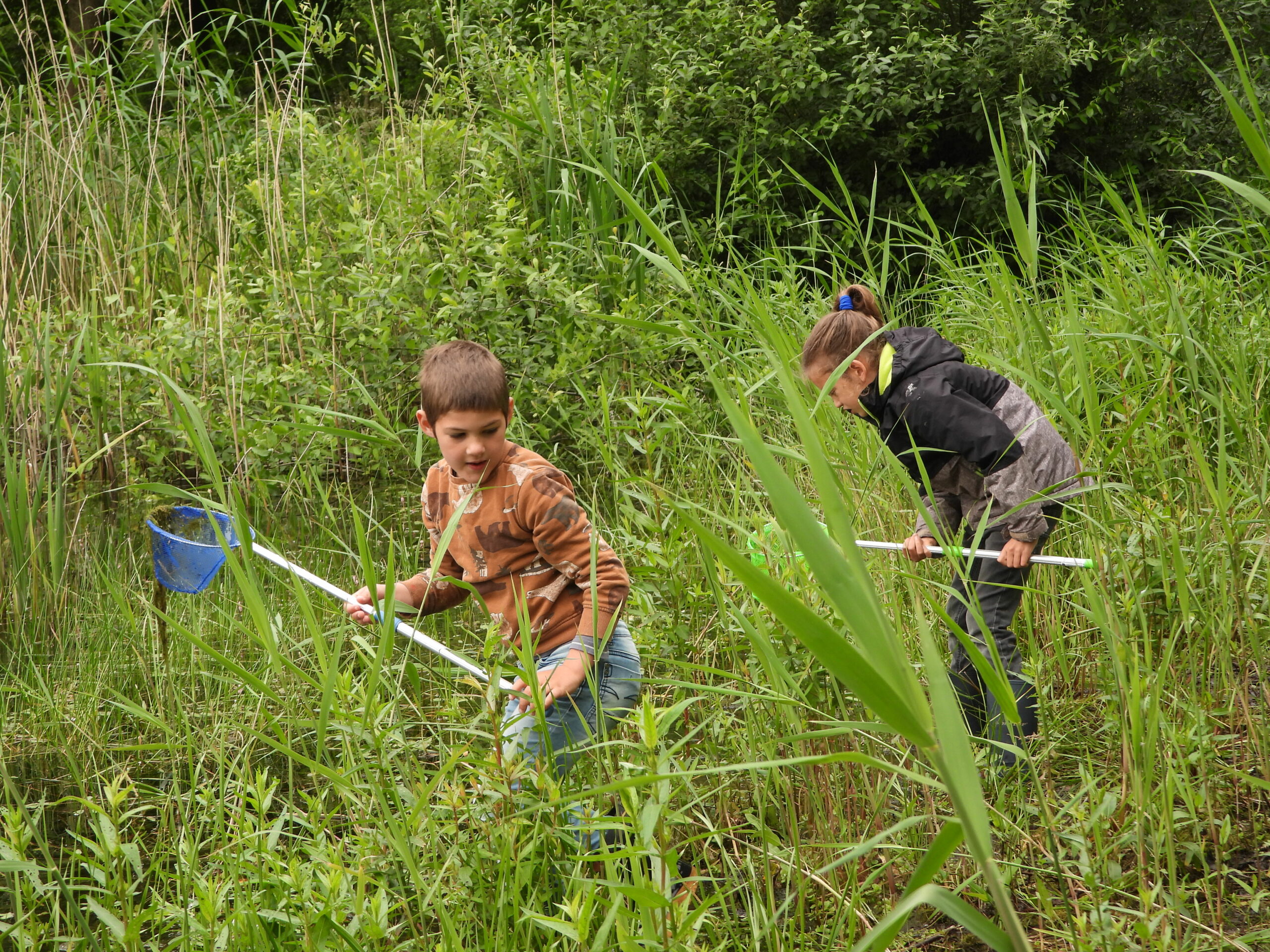 Twee kinderen met netten doorzoeken lang gras in een bosachtige omgeving.