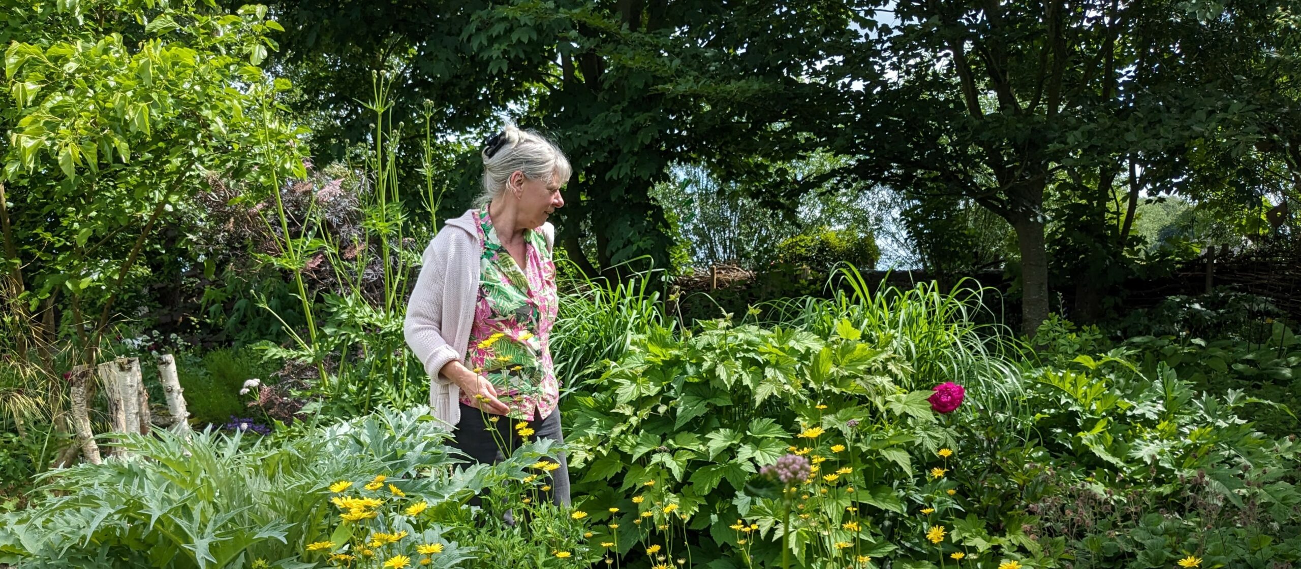 Vrouw in bloementuin omringd door groene planten en bloemen, met bomen op de achtergrond.