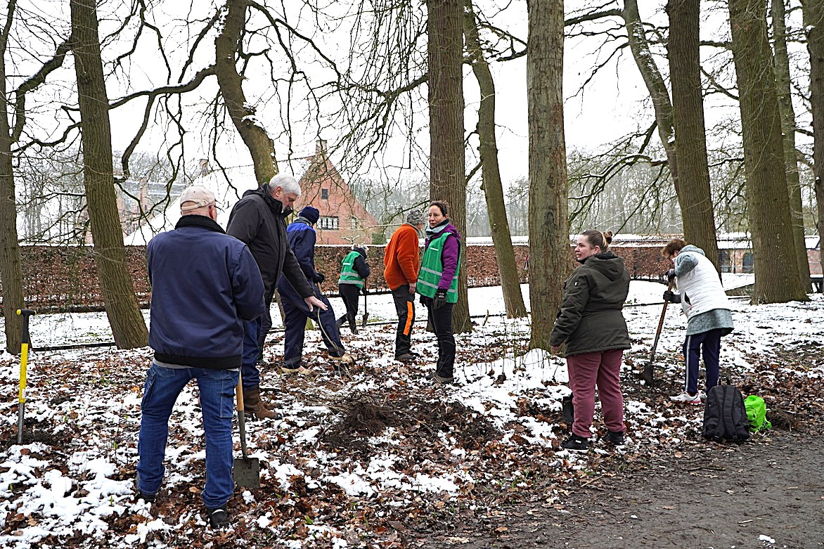 Vrijwilligers planten bomen in een besneeuwd bosgebied.