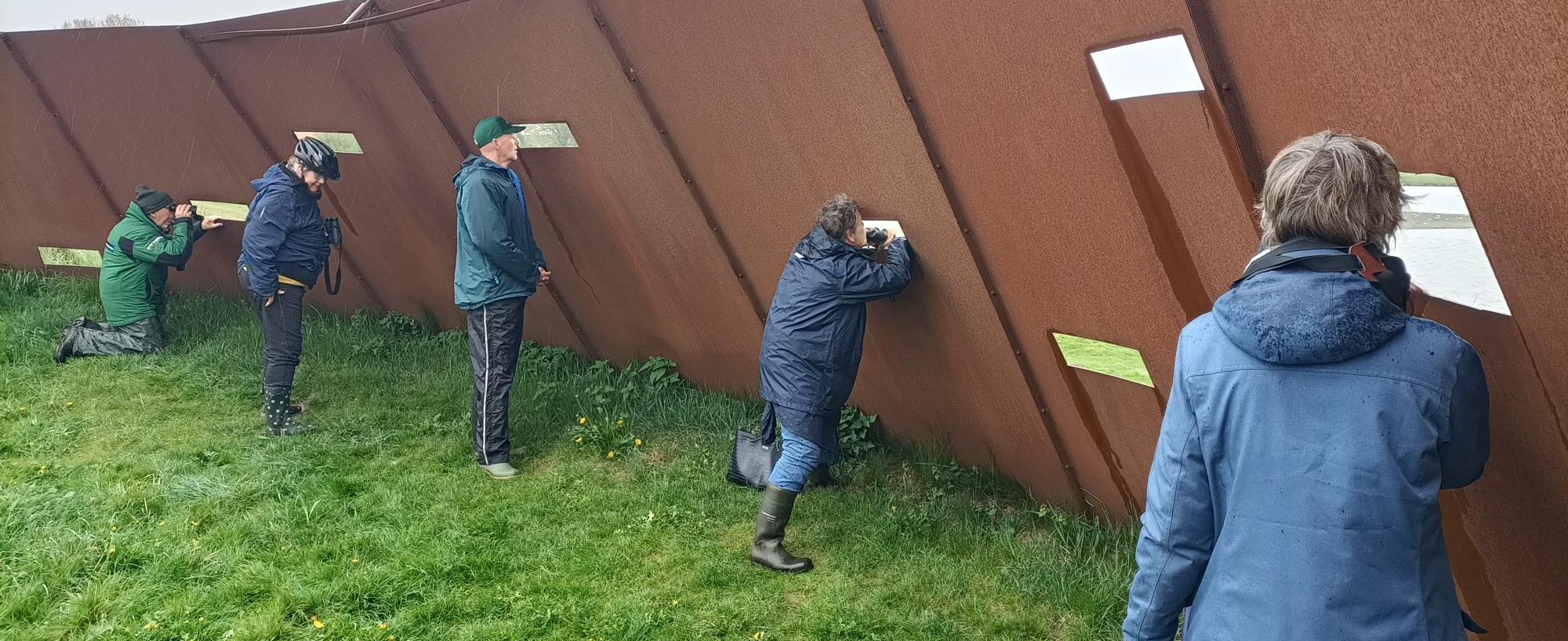 Mensen kijken door openingen in een bruine muur, mogelijk voor observatie van vogels.