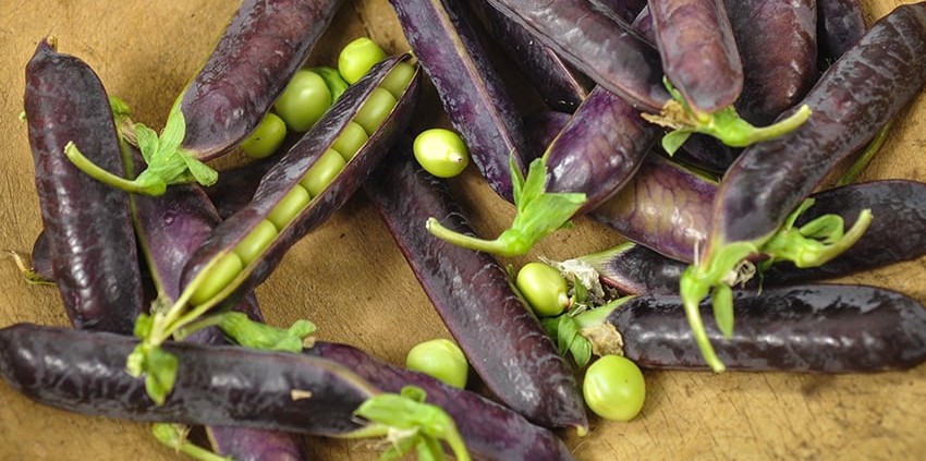 Paarse peulen met groene erwten op een houten oppervlak.