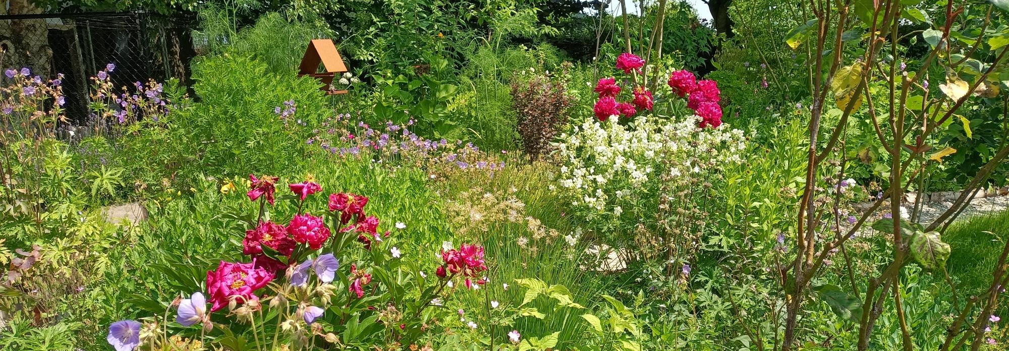 Grote tuin vol kleurrijke bloemen en groen blad, met een vogelhuisje op de achtergrond.
