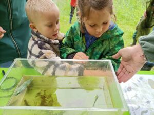 Kinderen bekijken waterdieren in een bak tijdens een educatieve buitenactiviteit.
