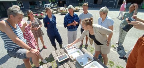Groep mensen verzameld rond een picknicktafel met bakjes en objecten buiten.