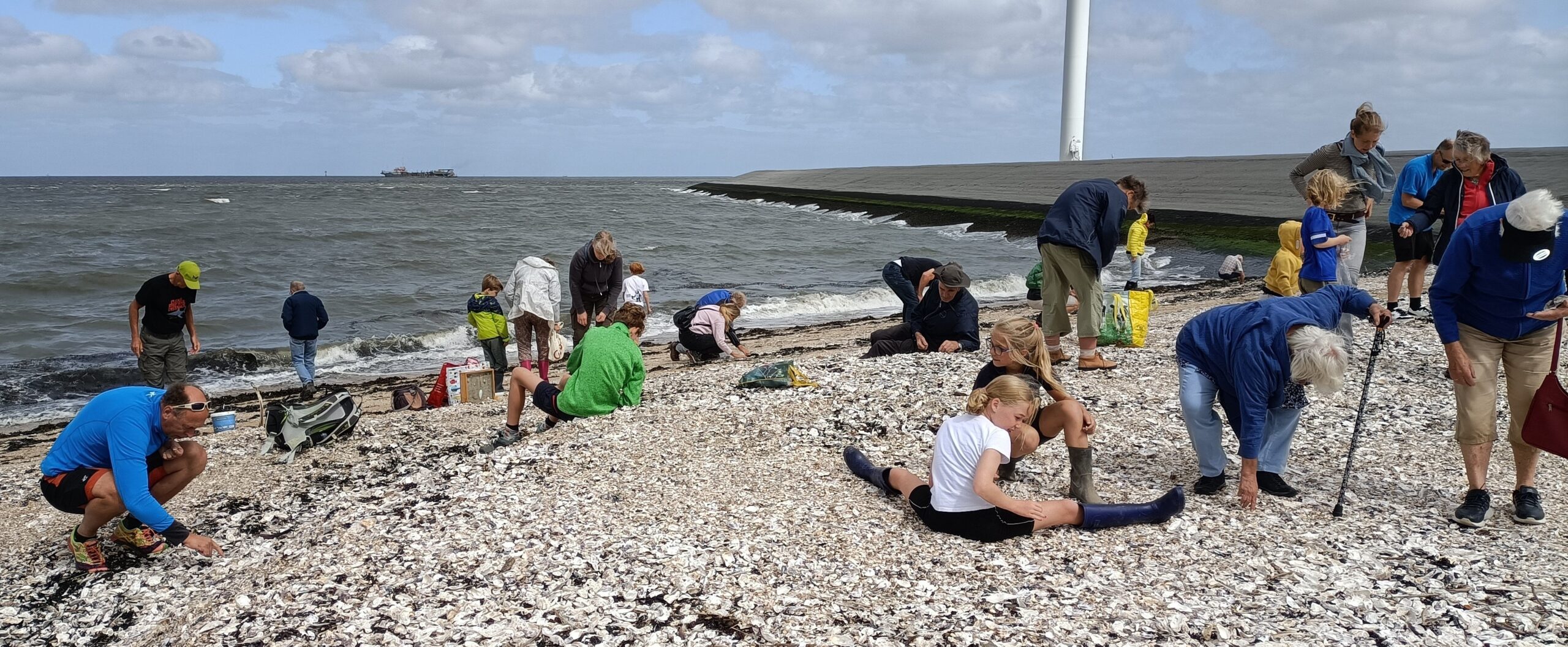 Mensen verzamelen schelpen op een strand bij de zee onder een bewolkte hemel.