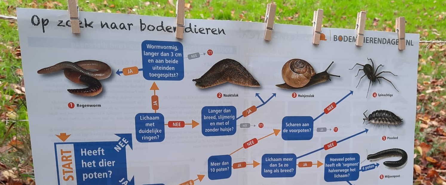 Diagram van bodemdiersoorten met vragen om dieren te identificeren, zoals regenwormen en slakken.