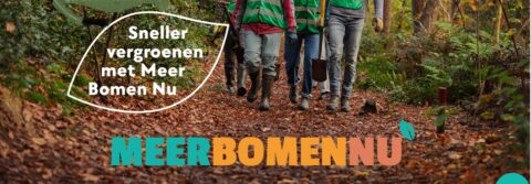 Groep mensen in het bos met schoppen, tekst "Sneller vergroenen met Meer Bomen Nu".