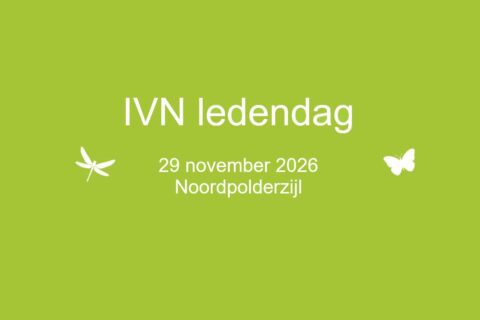 Groene achtergrond met tekst: "IVN ledendag, 29 november 2026, Noordpolderzijl", libelle en vlinder.