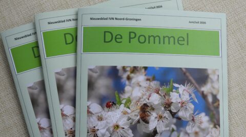 Drie tijdschriften met de titel "De Pommel" en een afbeelding van bloesem met een bij en lieveheersbeestje.