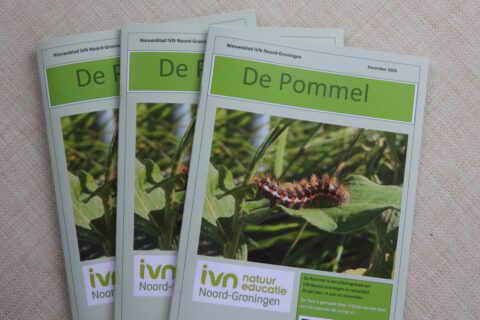 Drie exemplaren van het tijdschrift "De Pommel" met een rups op het omslag.