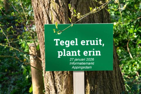 Groen bord tegen boom; tekst: "Tegel eruit, plant erin, 27 januari 2026, Informatiemarkt Appingedam".