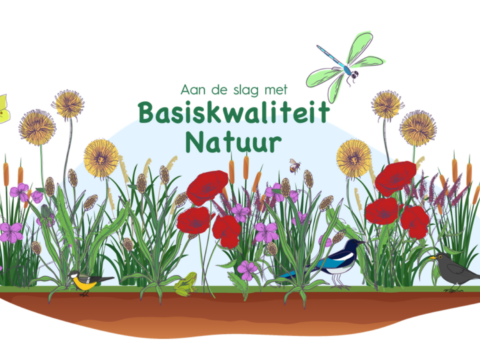 Illustratie van bloemen, vogels en insecten met de tekst: "Aan de slag met Basiskwaliteit Natuur".