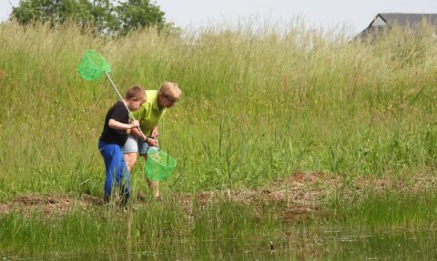 Twee mensen vangen waterdieren met schepnetten bij een vijver, omringd door hoog gras.