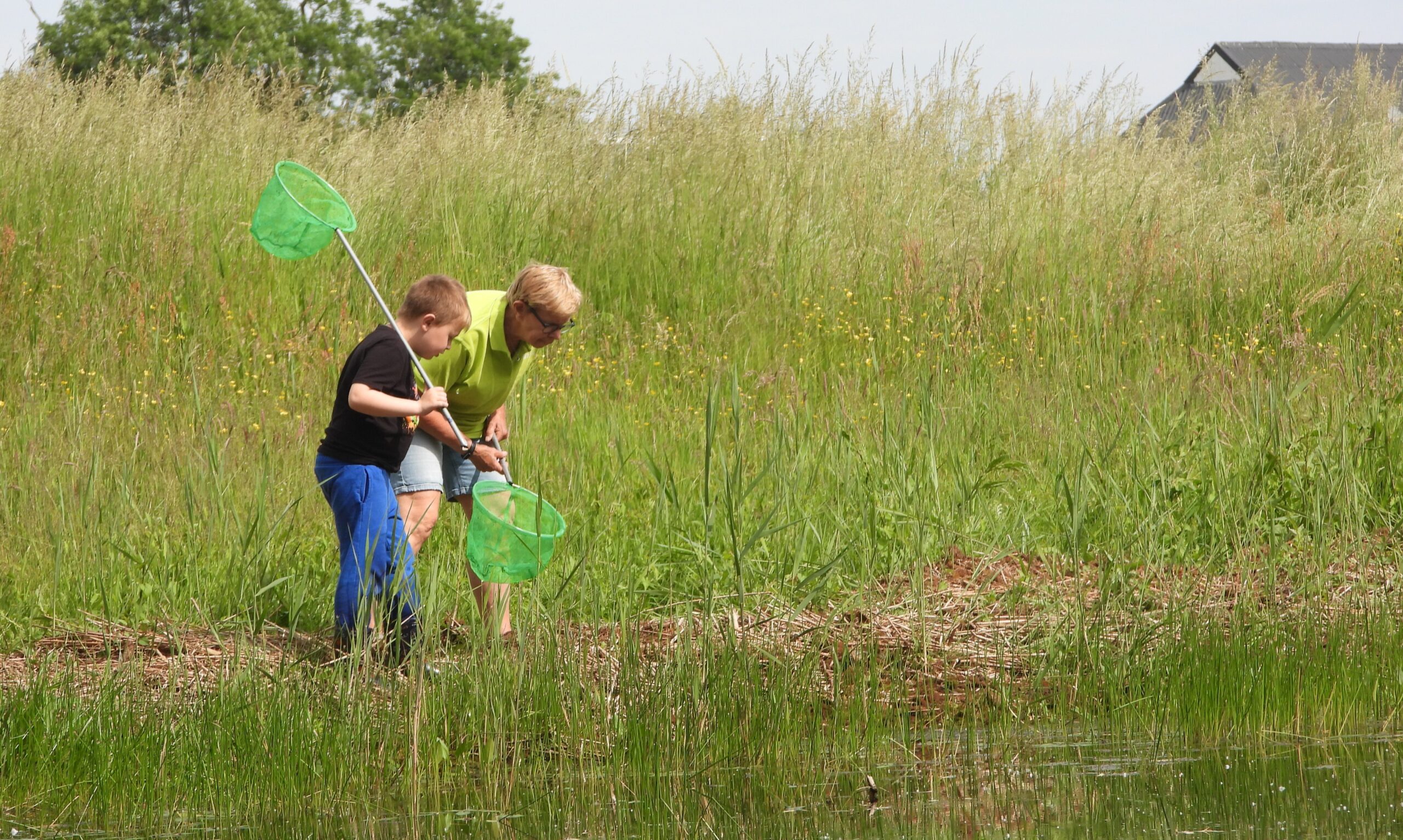 Twee mensen vangen waterdieren met schepnetten bij een vijver, omringd door hoog gras.