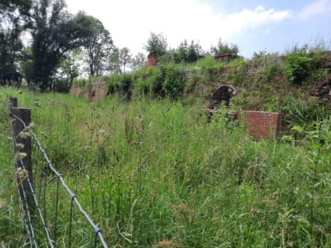 Oude bakstenen muur bedekt met gras en struiken, naast een draadafsluiting en bomen op de achtergrond.