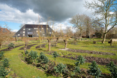 Een open tuin met kronkelige paden, kale bomen en een modern huis op de achtergrond onder een bewolkte lucht.