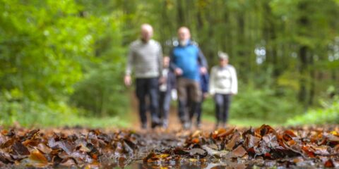Mensen wandelen over een bospaadje bedekt met herfstbladeren. Achtergrond is onscherp.