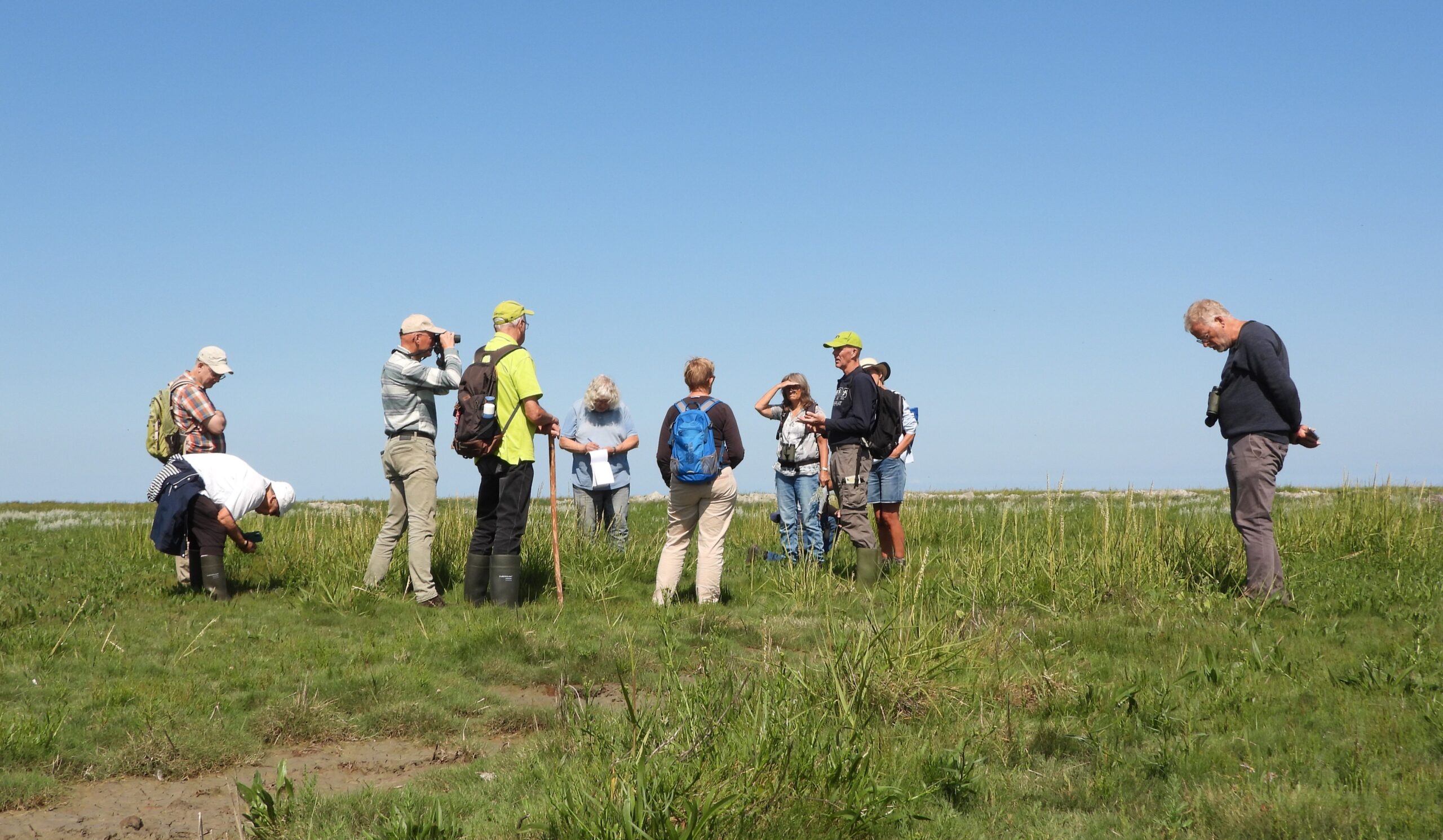 Groep mensen observeert natuur in grasland onder een heldere blauwe hemel.