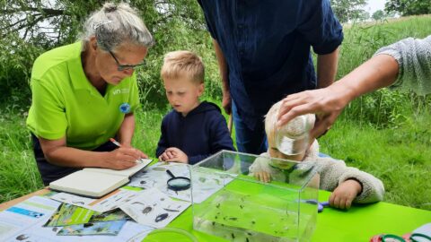 Volwassenen en kinderen onderzoeken waterleven in een bak, met loep en notities, buiten in het groen.