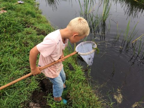 Buitenspeeldag Marknesse