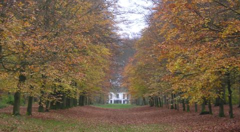 Zicht op huize Nijenburg, onderdeel Heilooerbos