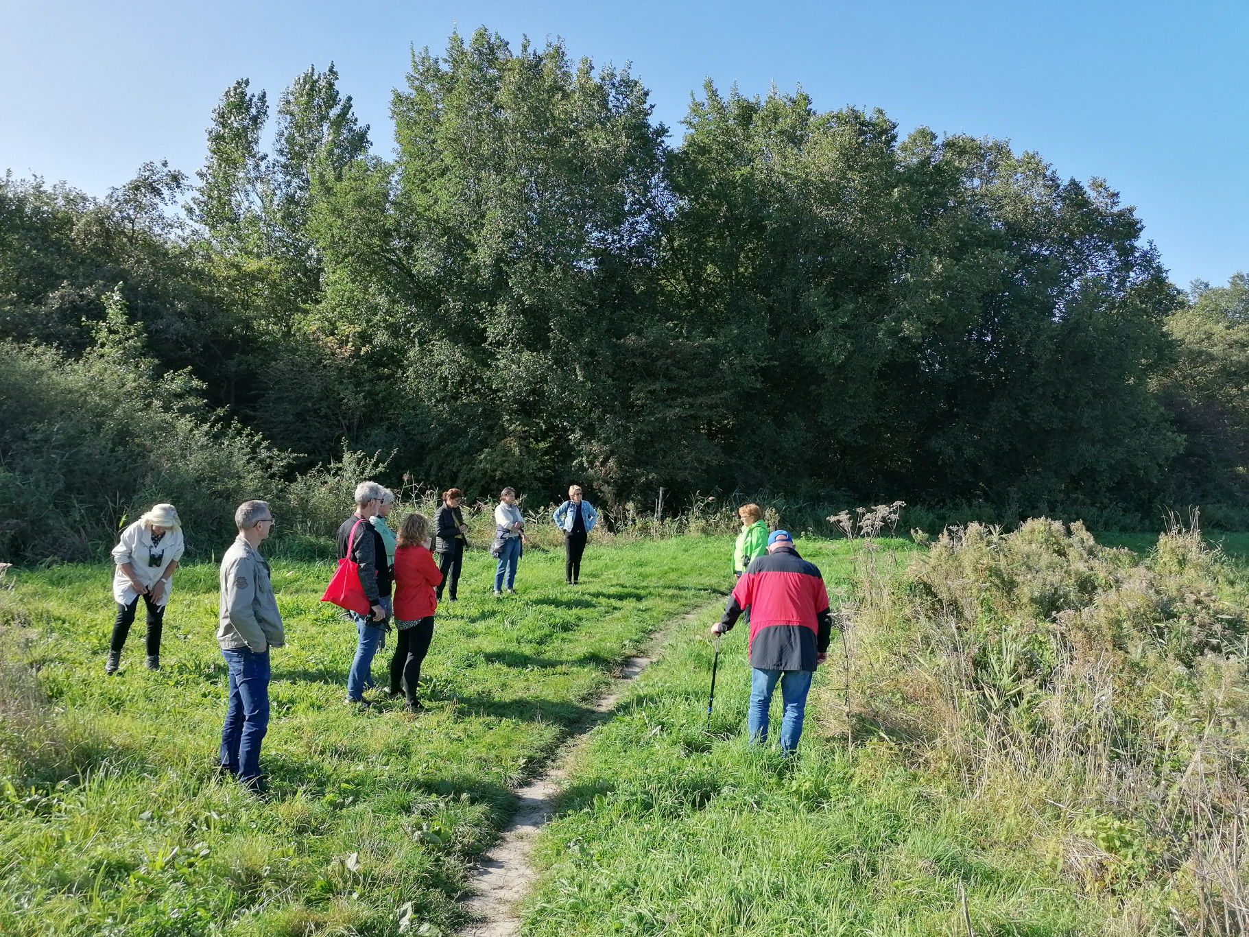 Alleen wandelen in Geestmerambacht