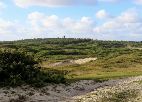 Natuur- en cultuurwandeling Bergen aan Zee