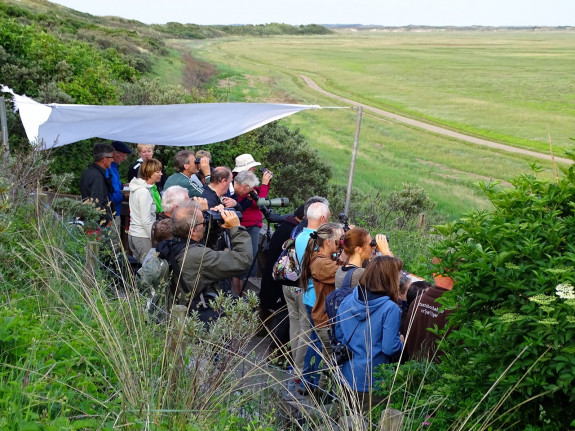 Natuurgidsen in opleiding spotten vogels