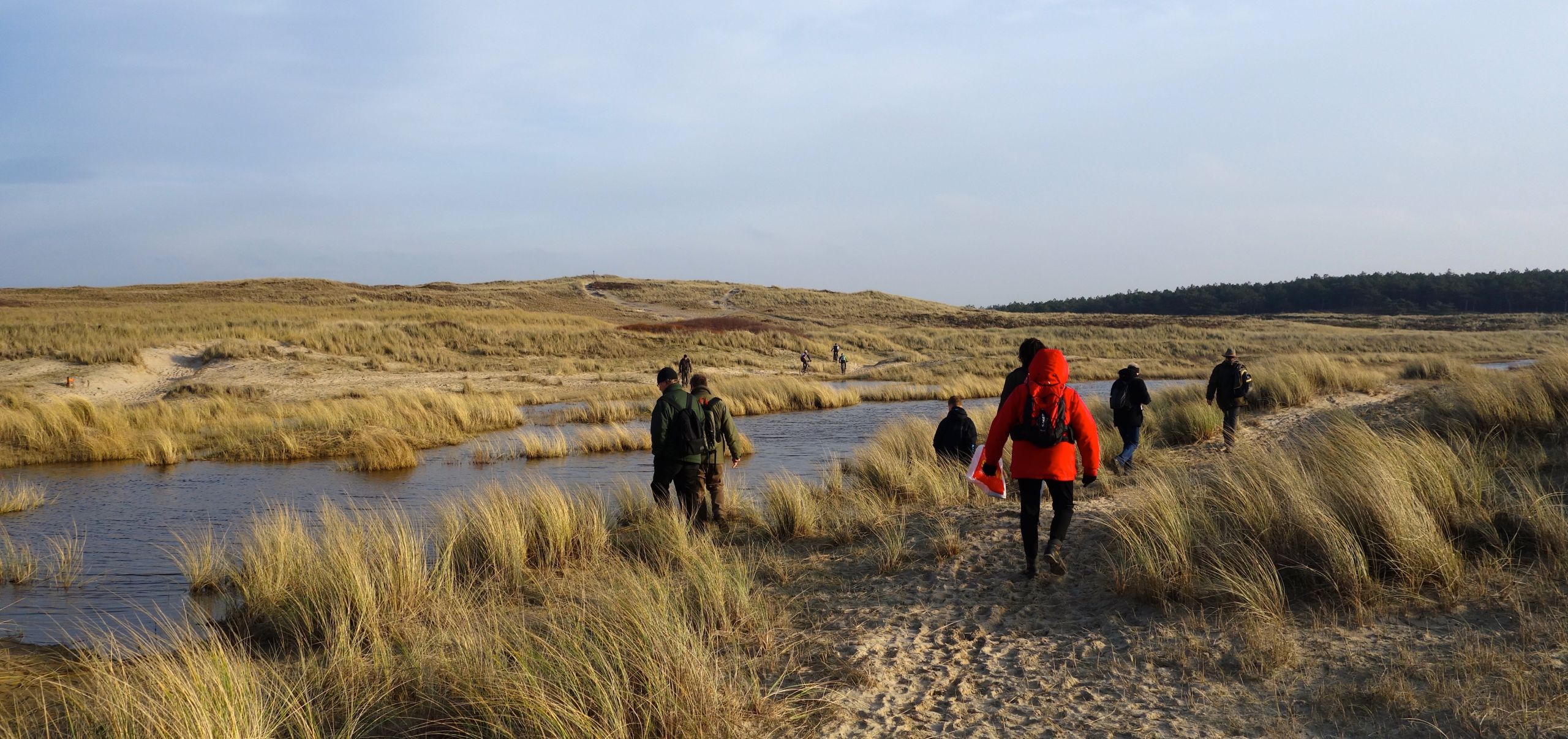 Groepje mensen die door waterrijke duinen lopen