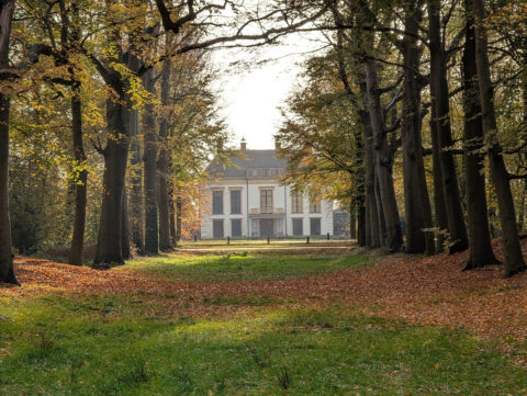 Uitkijk naar nijenburg door het Heilooerbos