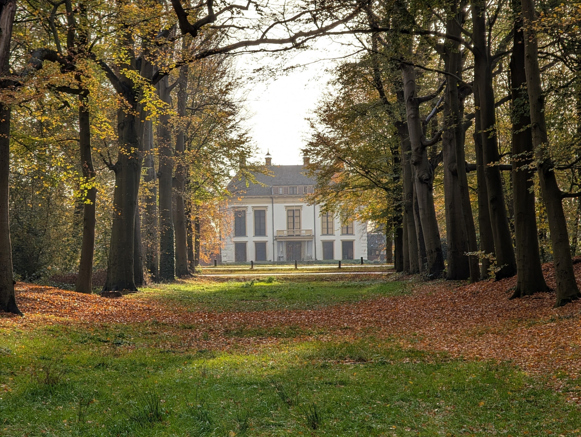 Uitkijk naar nijenburg door het Heilooerbos