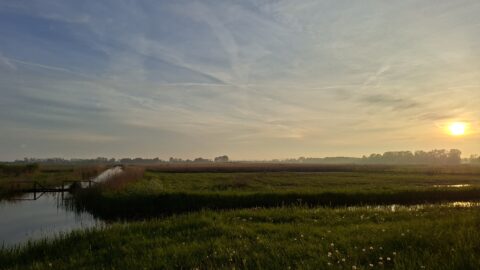Zonsondergang boven een groen landschap met waterstroom en verspreide bomen.