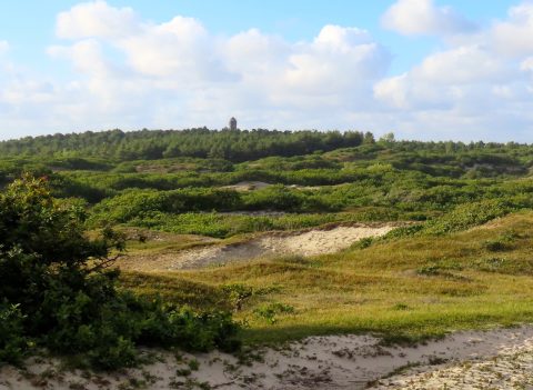 Uitzicht op duinen en kerkje Bergen aan Zee