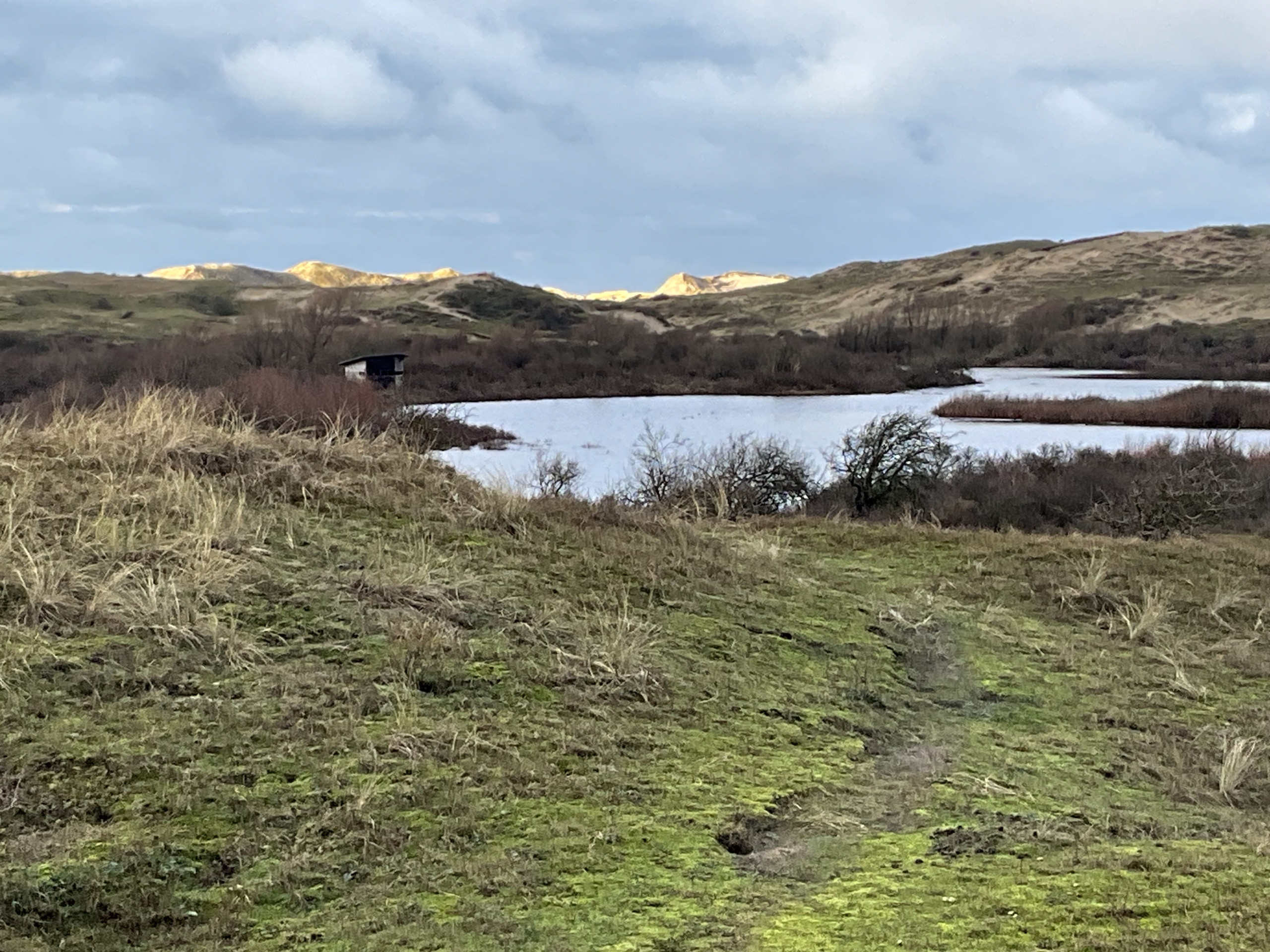 Het Starrevlak met de vogelkijkhut de Vlieger