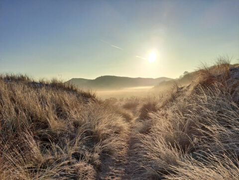 Zonsopgang boven een mistig duinlandschap met dorre grassen en heuvels in de verte.