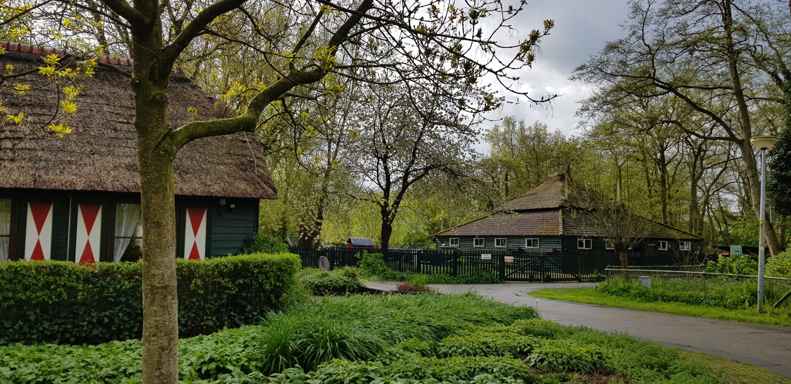 Rietgedekte huizen omgeven door bomen en groen in een landelijke setting.